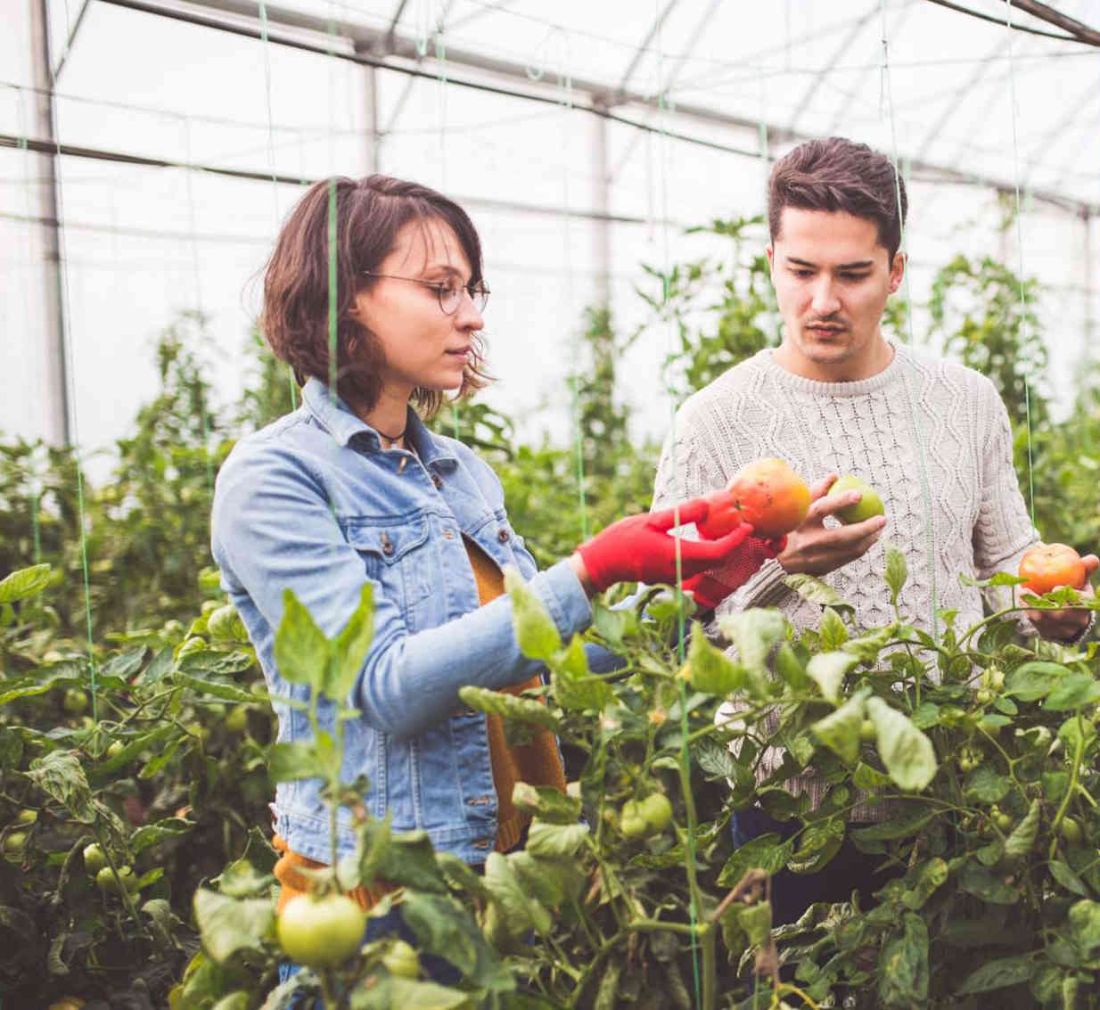 Agriculture